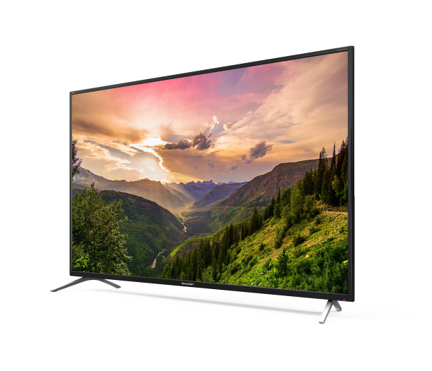 Sharp 49BL2EA - 1383495 - zdjęcie 3